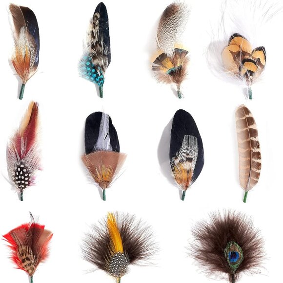 Hat Feathers, Assorted Natural Feather Packs Accessories for Fedora Cowboy Hats, - Picture 1 of 7
